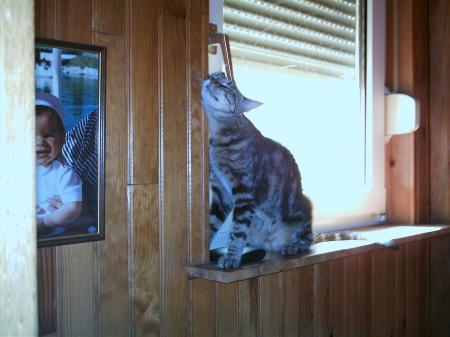 Le ChAt